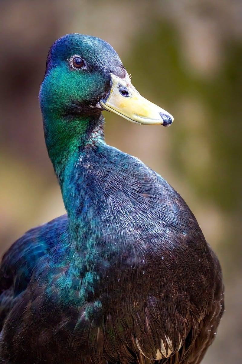 Flavor Pairing Guide